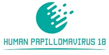 Human Papillomavirus 18 (HPV18)